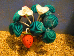 Поделки из ракушек своими руками (4)