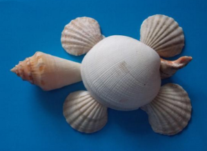 Поделки из ракушек своими руками (41)
